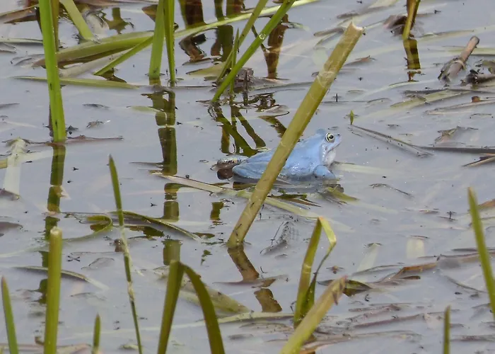 公寓 Zur Amsel Damnatz